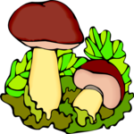 Mushrooms 18 Clip Art
