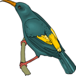 Bird 156