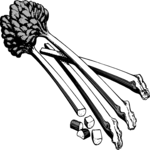 Rhubarb Clip Art