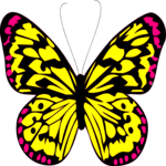 Butterfly 021