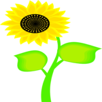 Sunflower 4 Clip Art