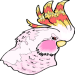 Cockatoo 06 Clip Art