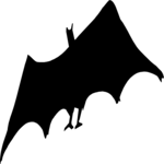 Bat 1