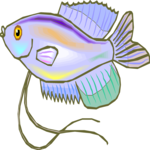 Gourami - Moonlight 1 Clip Art