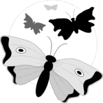 Butterflies 2
