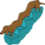 Dachshund on Stairs