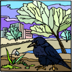 Crow 2