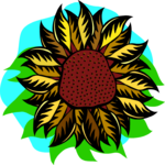 Sunflower 3