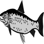 Fish 021 Clip Art