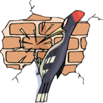Woodpecker & Brick Wall