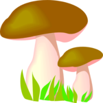 Mushrooms 08