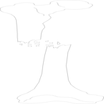 Leg - Compound Fracture