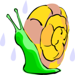 Snail 10