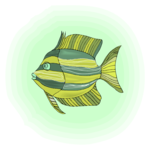 Fish 146