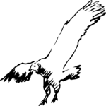 Vulture 3 Clip Art