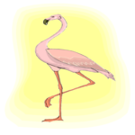 Flamingo 14 Clip Art
