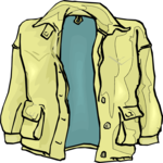 Jacket 31