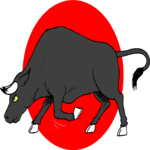 Bull 14