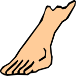 Foot 4