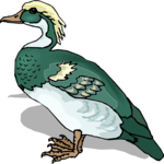 Duck 52 Clip Art