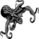 Octopus 01