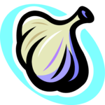 Garlic 04 Clip Art