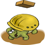 Worker - Tortoise