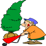 Man Transporting Tree