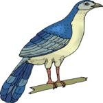 Bird 154