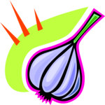 Garlic 09 Clip Art