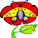 Butterfly 062 Clip Art