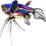 Freshwater Butterfly Fish Clip Art