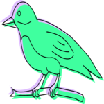 Bird 219