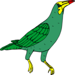 Bird 040