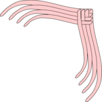 Corner 0529 Clip Art