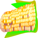 Corn 24 Clip Art