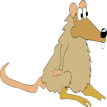 Rat 3