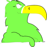 Parrot 07