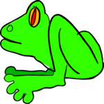 Frog 04