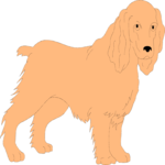 Cocker Spaniel 1