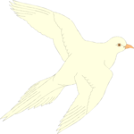 Bird 020