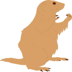 Prairie Dog 2