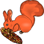 Squirrel 11