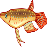 Killifish 07