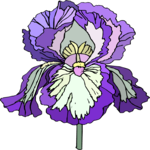 Flower 396
