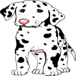 Dalmatian 4