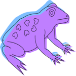 Frog 37