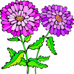 Asters 1 Clip Art