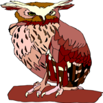 Owl 38