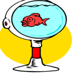 Fish Bowl